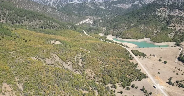 Isparta da ormanlar son bahar renklerine büründü