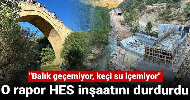 O rapor HES inşaatını durdurdu: Balık geçemiyor, keçi su içemiyor
