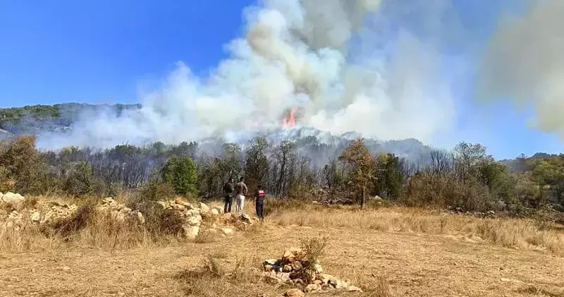 Burdur da çıkan orman yangını kontrol altında