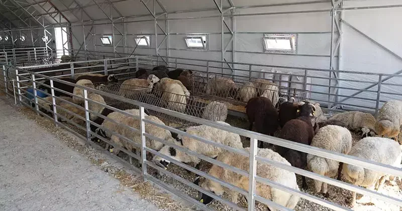 Eskişehir de büyükşehir hayvan pazarı kapatıldı