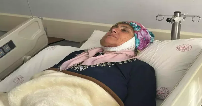 15 yıl sonra ilk kez gülümsedi! Tek operasyonla tedavi edildi!