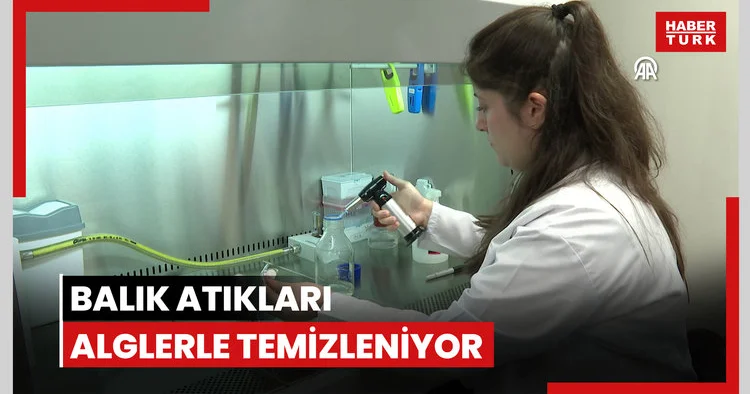 Balık yetiştiriciliği atıkları alglere dönüştürülerek denizlerin kirlilik yükü azaltılıyor