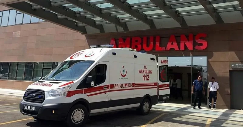 Van da katliam: Anne ve 2 oğlu öldürüldü! Meğer barışmaya...