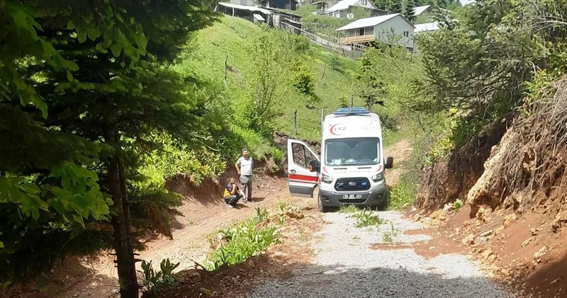 Kamyonet şarampole yuvarlandı: Sürücü öldü, eşi ağır yaralandı