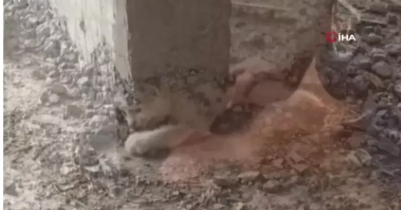 Şanlıurfa da akıl almaz olay!
