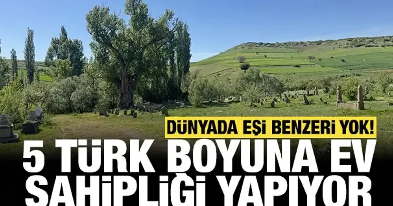Dünyada tek bir örneği yok: 5 Türk boyuna ev sahipliği yapıyor!