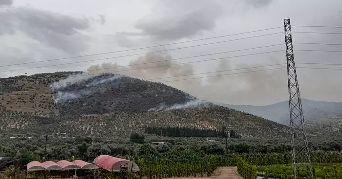 İzmir de zeytinlik alanda çıkan yangın kontrol altına alındı