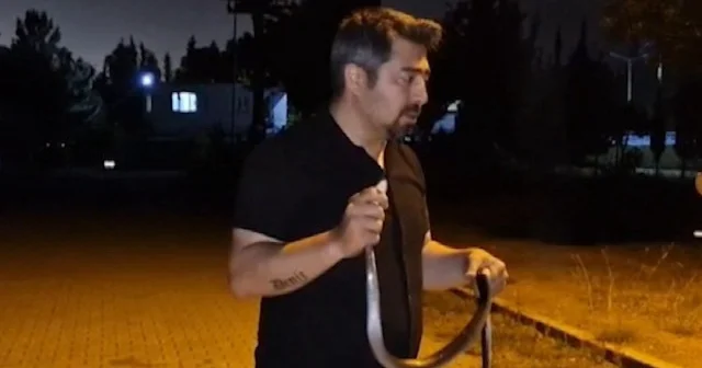 Hatay da çamaşır makinesine giren kara yılan, Yılancı Kemal tarafından yakalanarak nasihat eşliğinde doğaya salındı VİDEO İZLE