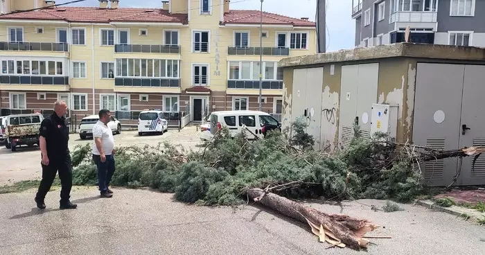 Bilecik te sağanak ve fırtına! Çadırlar uçtu, ağaçlar devrildi: 1 kişi yaralandı