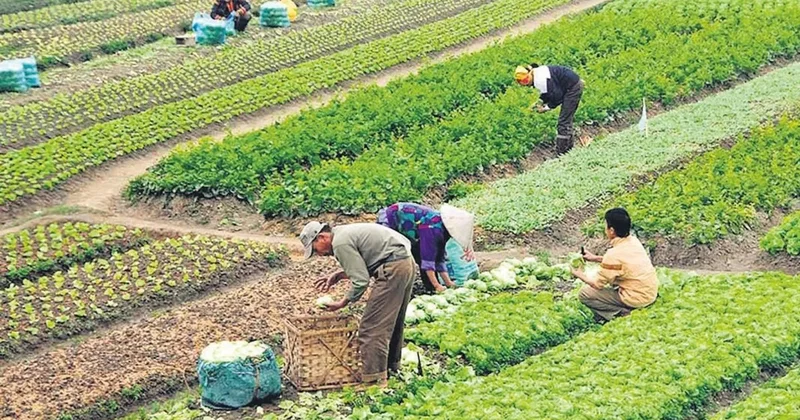 Mevsimlik işçinin ücreti asgari ücretten az olamaz