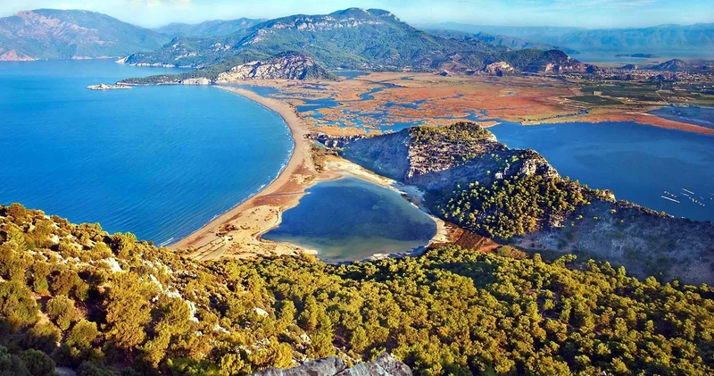 Muğla İztuzu Plajı nda carettaların yuva sayısı 100 e ulaştı