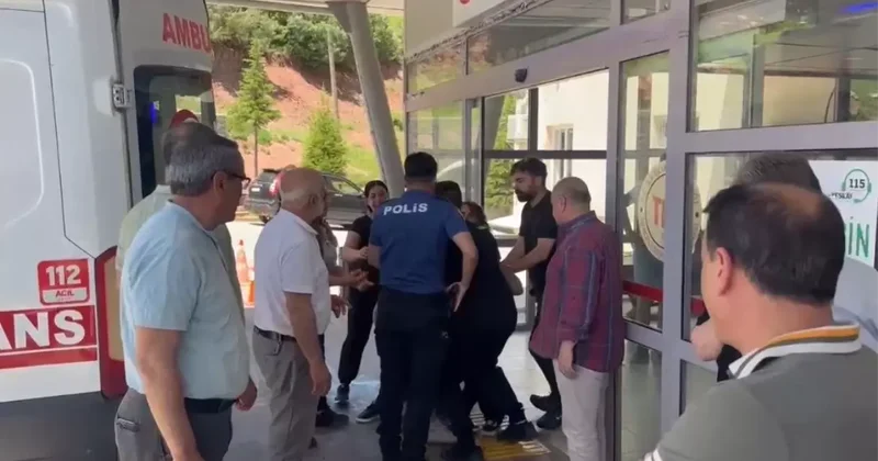 Düzgün Baba Dağı ziyaretinde kan donduran cinayet, amca ve yeğeni öldürüldü