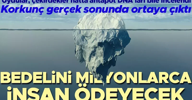 Dünyadaki buz tabakaları için korkunç gerçek ortaya çıktı! Bunun bedelini ise milyonlarca insan ödeyecek