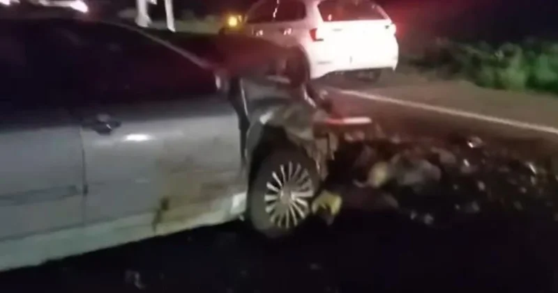 Yaylaya giden hayvan sürüsüne otomobil çarptı: 25 koyun öldü