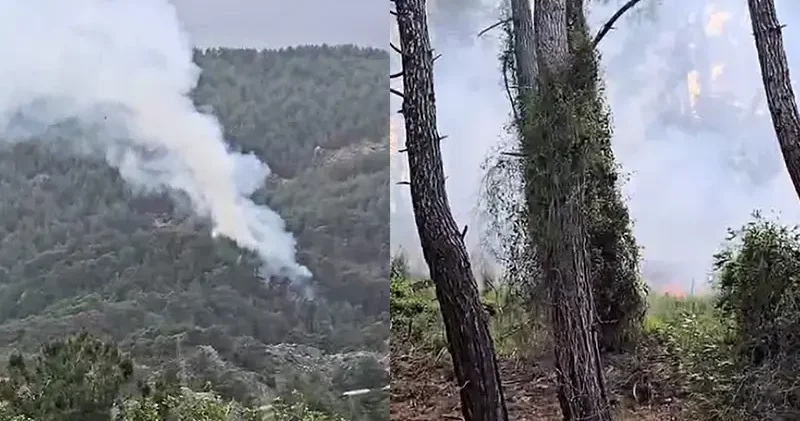 Antalya da çıkan orman yangını kontrol altında