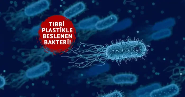 Dünya genelinde tehdit: Hastanelerdeki tıbbi plastikle beslenen bu bakteri 560 bin kişiyi öldürdü!