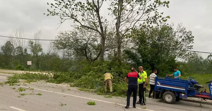 Bartın da şiddetli fırtınada ağaçlar devrildi! Bir otomobil hasar gördü