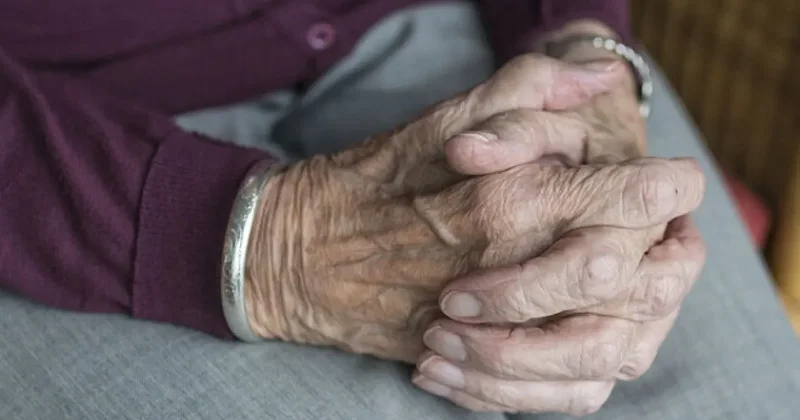 Yaşlı Destek Programı başvuruları başladı: 2025 YADES başvuruları nasıl yapılır?