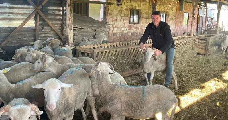Kurbanlıkları satıp kazancıyla evlenecek