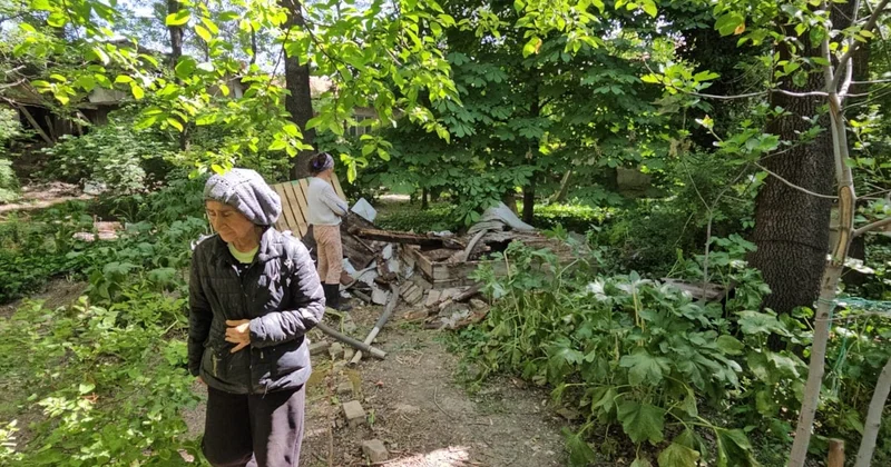 Çürüyen tahtalar kırıldı, su kuyusuna düşen 7 yavru köpek öldü Sözcü Gazetesi