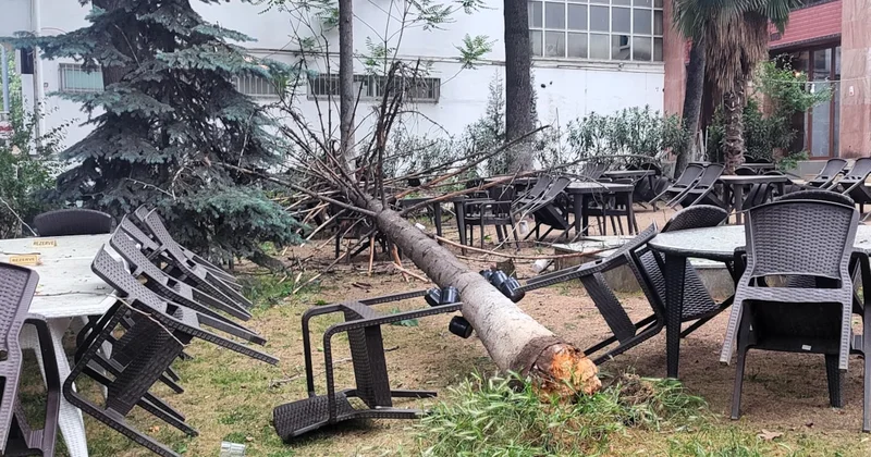 Faciadan dönüldü! Fırtınada devrilen ağaç, kafe bahçesine düştü Sözcü Gazetesi