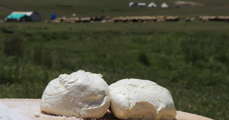 Erzincan tulum peyniri AB de tescillendi