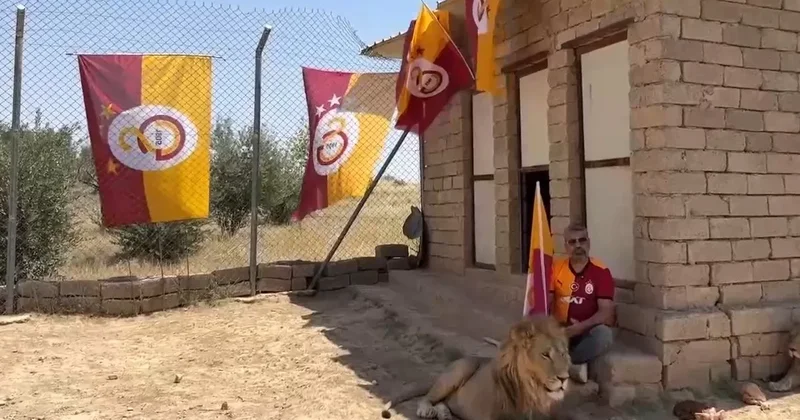 Aslanlarıyla beraber Galatasaray ın şampiyonluğunu kutladı! Fatih Terim ve Okan Buruk...
