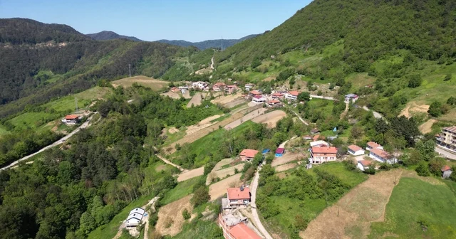 Küre Dağları Milli Parkı nda bahar güzelliği Bartın Haberleri