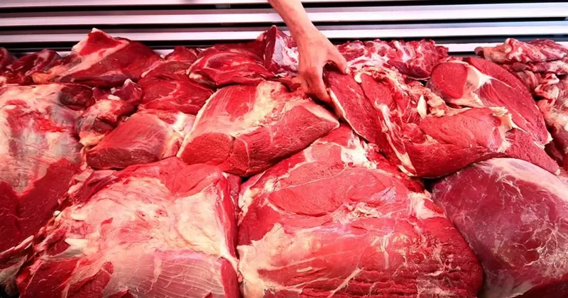 Kıymaya at ve eşek eti karıştıran firma, belediyeye ve devlet hastanesine yemek veriyormuş