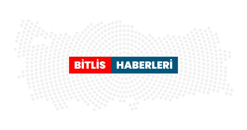 Bitlis te otomobilin çarptığı sürüdeki 12 koyun telef oldu, sürücü yaralandı Bitlis Haberleri