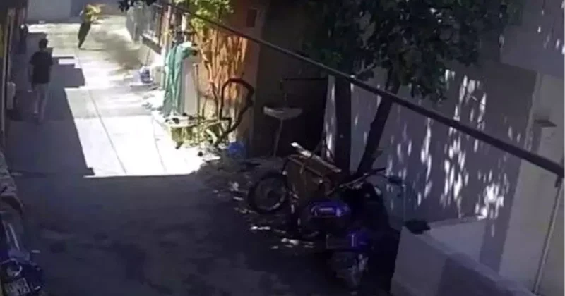 Adana da Amca, Yeğenini Yaktı