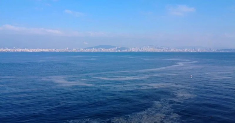 Marmara Denizi nde ara tabakadaki müsilaj yoğunluğu sürüyor