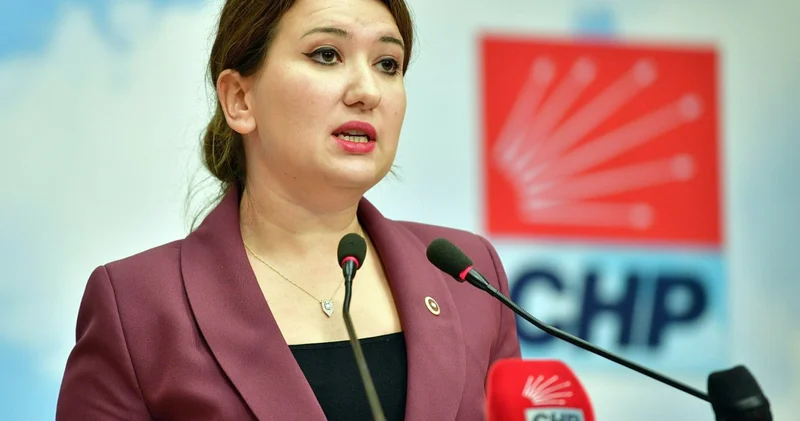 CHP li Gökçen: Özel CHP nin seçilmiş ve birinci yapmış Genel Başkanı dır