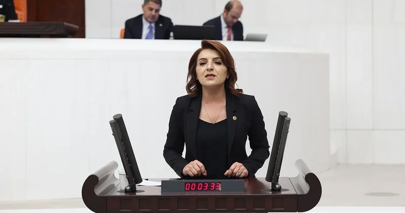 CHP’li Kış: Vatandaş açlık sınırının altındayken, Saray’da israf devam ediyor Sözcü Gazetesi