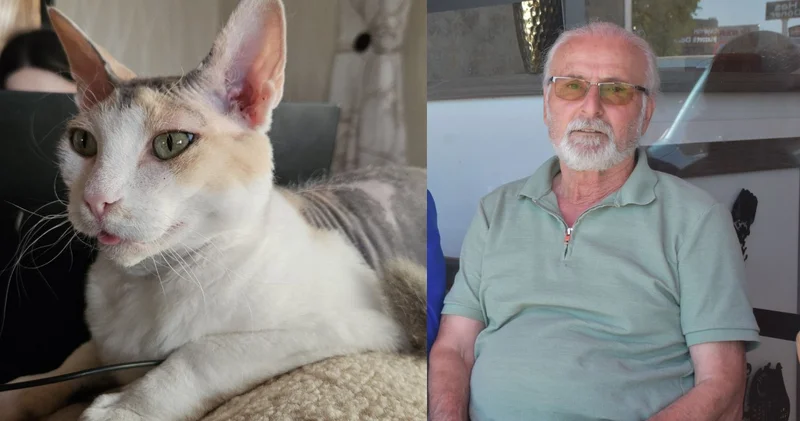 Kaybolan kedisi için Sivas a yerleşti! Kalbi rahatsızlandı, her yerde onu arıyor