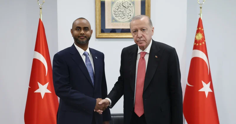 Erdoğan, Somali Limanlar ve Deniz Ulaştırma Bakanı Nur u kabul etti
