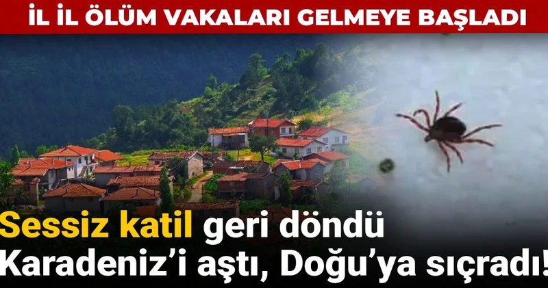 Sessiz katil geri döndü, Karadeniz i aştı, Doğu ya sıçradı! İl il ölüm vakaları gelmeye başladı
