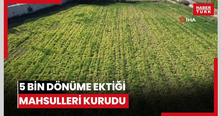 Denizli DESKİ den su kullanan çiftçinin 5 bin dönüme ektiği mahsulleri kurudu