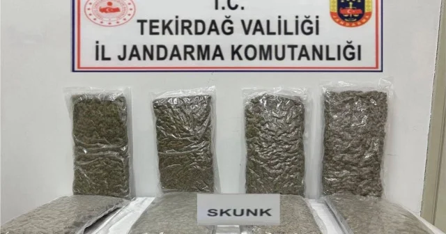 Tekirdağ da otoyol gişelerinde 12 kilogram skunk ele geçirildi Tekirdağ Haberleri