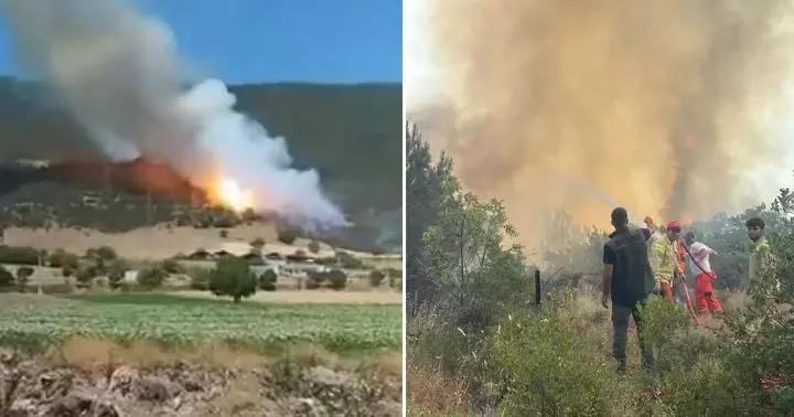 Bursa da orman yangını! Patlamalar meydana geldi