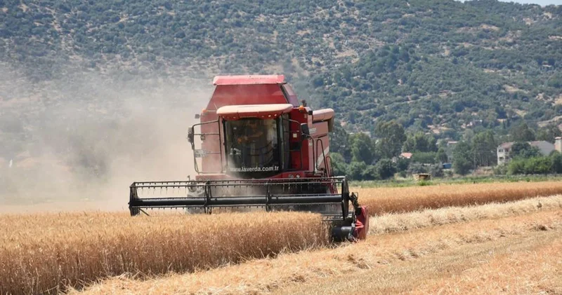 Hayvan üreticilerine kritik uyarı: Elinizi çabuk tutun