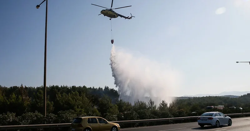 311 milyon dolar buhar oldu Sözcü Gazetesi