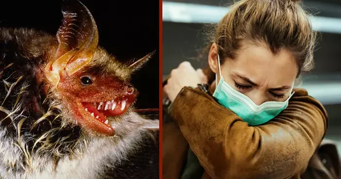 Yeni salgın tehlikesi mi? Yarasalarda 20 yeni virüs tespit edildi! Ölümcül tehlikesi var...