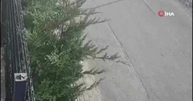 Bursa’da işe giderken başıboş sokak köpeklerinin saldırısına uğrayan genç kadın yaralandı