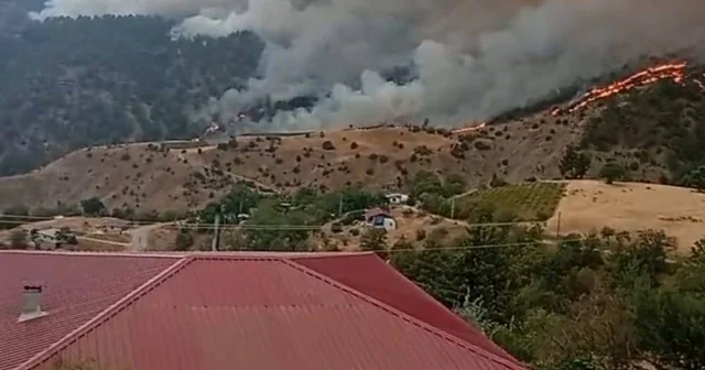Kahramanmaraş ta orman yangını Kahramanmaraş Haberleri
