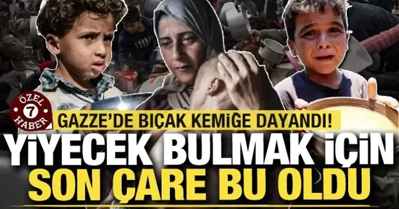 Gazze de bıçak kemiğe dayandı! Yiyecek bulabilmek için son çare bu oldu