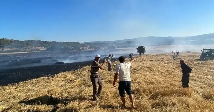 Sinop’ta anız yangını: 60 balya saman kül oldu