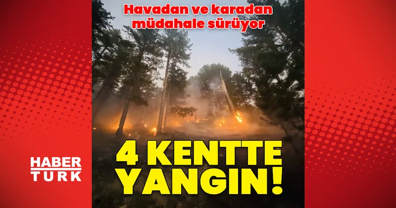 Son dakika: Türkiye orman yangınlarıyla mücadele ediyor! 4 kentte orman yangını Son dakika haberleri