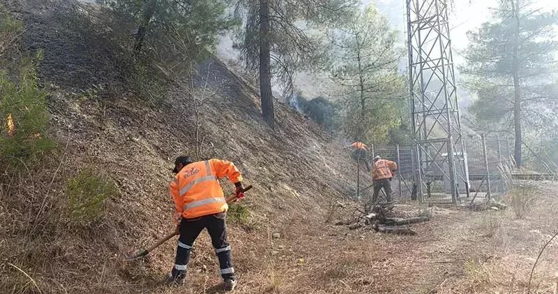 TCDD ekipleri, Bilecik Osmaneli hattında demiryolu altyapısına kadar ilerleyen alevlerin kontrol altına alındığını aktardı