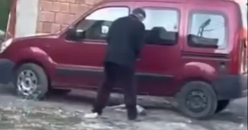 Yavru köpeği sopayla dövdü! Görüntüler infial yarattı Sözcü Gazetesi